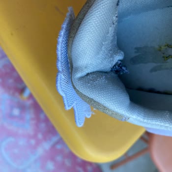 Lacoste Ayakkabının İç Arka Kısmı Ful Yırtıldı