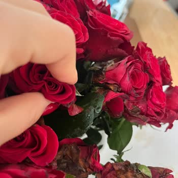 Çiçek Sepeti Çürük Güller