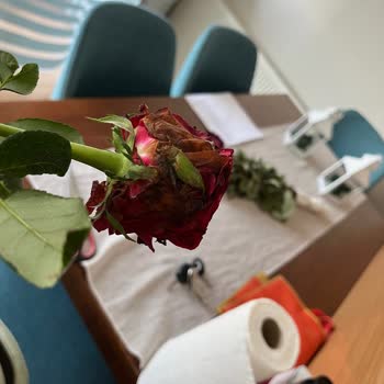 Çiçek Sepeti Çürük Güller