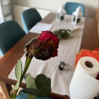 Çiçek Sepeti Çürük Güller