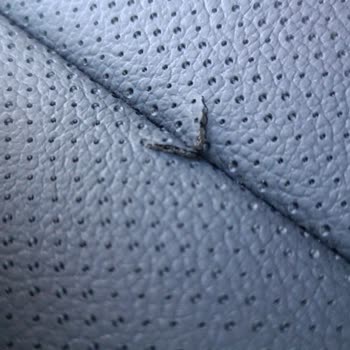 Sıfır Kia Bongo Koltuk Yırtık Şekilde Satıldı Ve Bayi Üstlenmiyor