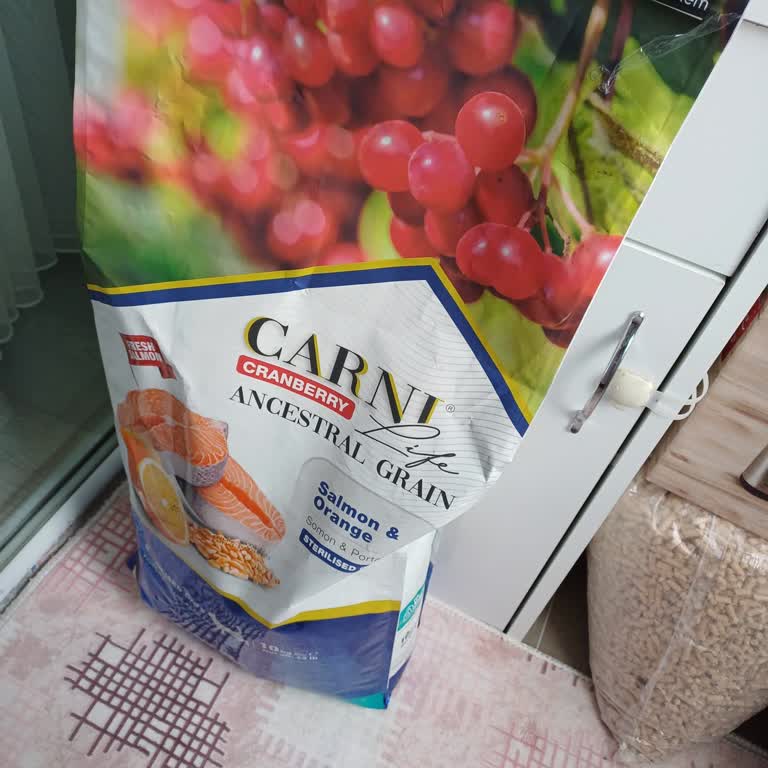 The Maya Family Carni Mamada Sıkıntı