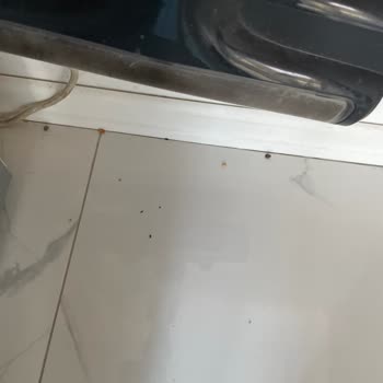 Tefal TEDAŞ Dikey Süpürge Süpürmüyor