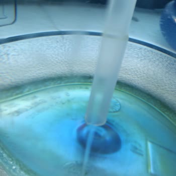 Ege Life Su Damacana Suyun Yosun Problemi