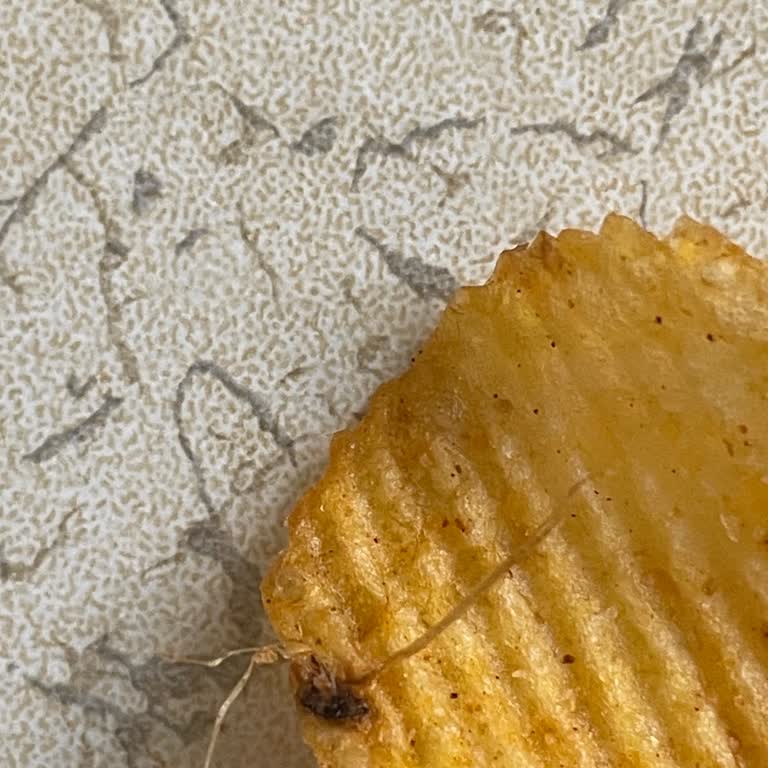 Ruffles Cips İçinden Yabancı Madde