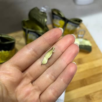 Burcu Gıda Konserve Mısırın İçinden Teneke Parçası Çıktı