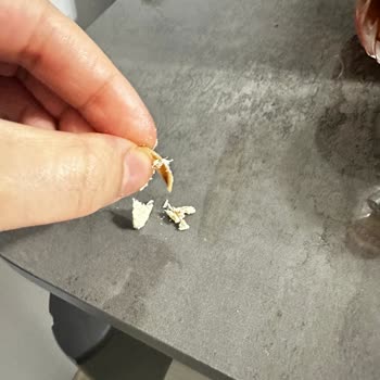 Serel Pekmez-Tahin-Helva Serel Marka Helva İçinden Bir Şey Çıktı