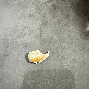 Serel Pekmez-Tahin-Helva Serel Marka Helva İçinden Bir Şey Çıktı