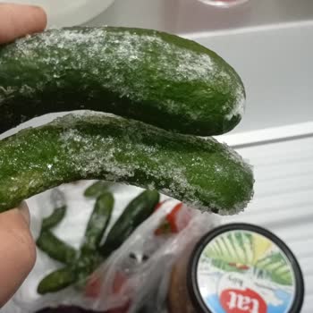 Profilo Buzdolabından Memnun Değilim