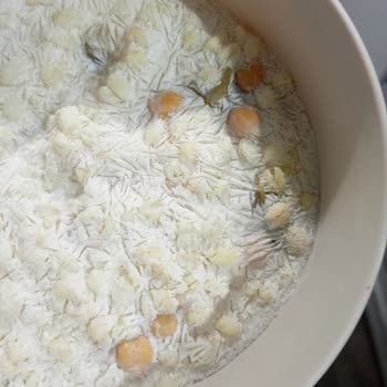 Profilo Buzdolabından Memnun Değilim