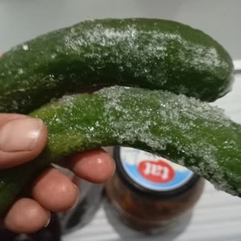 Profilo Buzdolabından Memnun Değilim