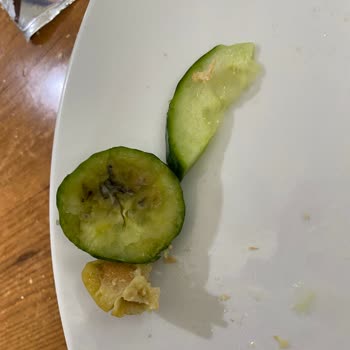 KYK Yemek Sorunu