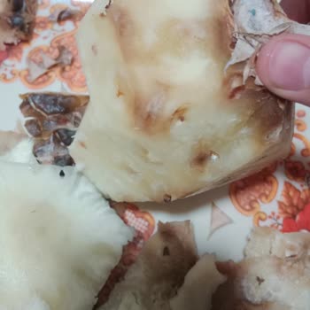 Migros Ürünler Kötü Maalesef