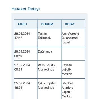 Kargo Mu Bilerek Teslim Etmedi. Borusan Lojistik