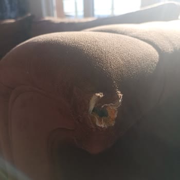 Murat Nakliyat İzmir Ve Mardin Nakliye Firmaları İle İlgili Şikayet