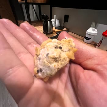 Yayla Bakliyat Yayla Kinoalı Bulgur Pilavı Küf Sorunu