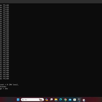 1-3 Mbps TurkNet İnternet Hızı!