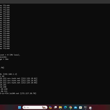 1-3 Mbps TurkNet İnternet Hızı!