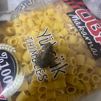 Oba Makarna Küflü Makarna İçin Üzgünüm