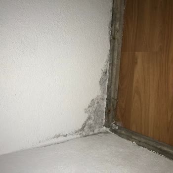 Türkiye Sigorta Mağduriyeti Ve İlgilenilmemesi