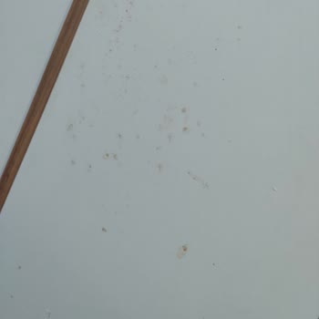 Tiamob 6 Kapaklı Gardırop Sorunu