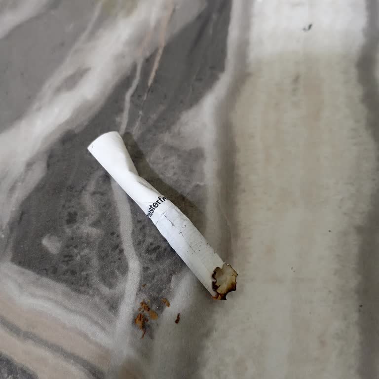 Philip Morris Sigaranın İçi Boş