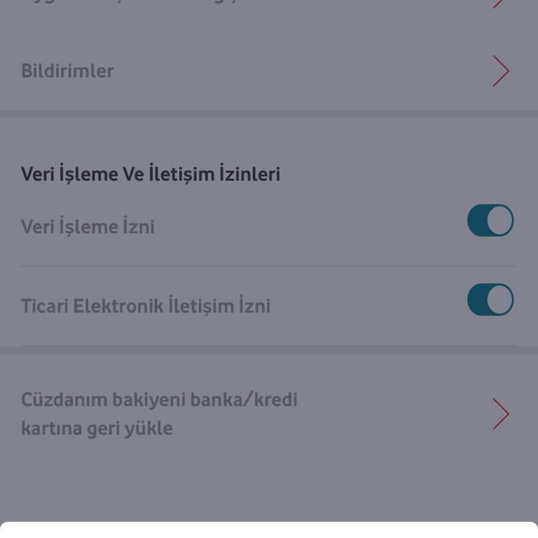 Vodafone Pay Cüzdanımdaki Bakiyeyi Kartıma Aktaramıyorum