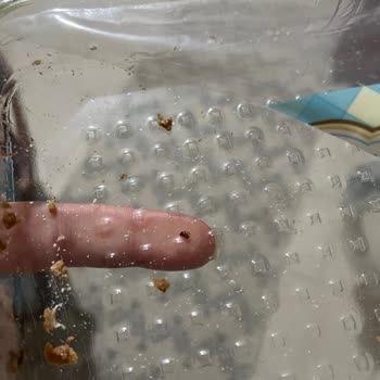 A101 Bendo Mantı Böcekli