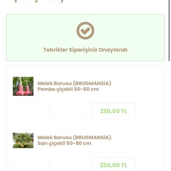 Efidanmarketim.com Kırık Ve Yaprakları Parçalanmış Fidanlar Gönderdi!