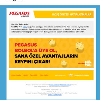 Pegasus Açığa Alınan Bilete İki Defa Ceza Tutarı İstenmesi