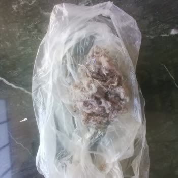 Dyson V11 Absolute Tamir Olmama Ve KABA-YETERSİZ Hizmet