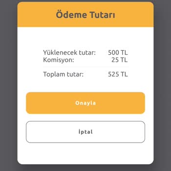 HGS Hizmet Bedeli Skandalı