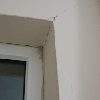 DASK (Doğal Afet Sigortaları Kurumu) Deprem Hasarının Eksik Ödenmesi Ve Muafiyet Sorunu