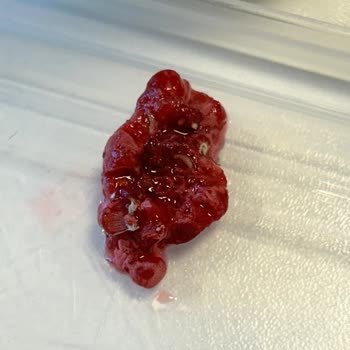 Lavi Juice Lavi Dondurulmuş Meyve