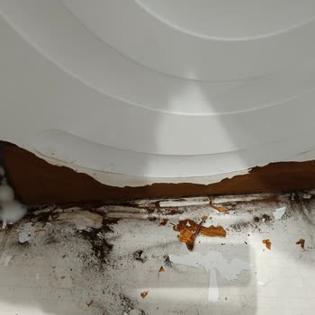 İki Aydır Gelmeyen Kurutma Makinem Nerede Bosch Ürün Takibi Yok