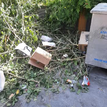 Antalya Muratpaşa Belediyesi Muratpaşa Belediyesi Şikayet