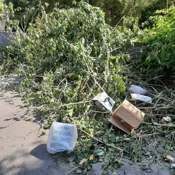 Antalya Muratpaşa Belediyesi Muratpaşa Belediyesi Şikayet