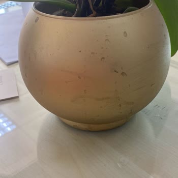 Çiçek Sepeti Siparişi Kusurlu, Kirli Gönderdi.