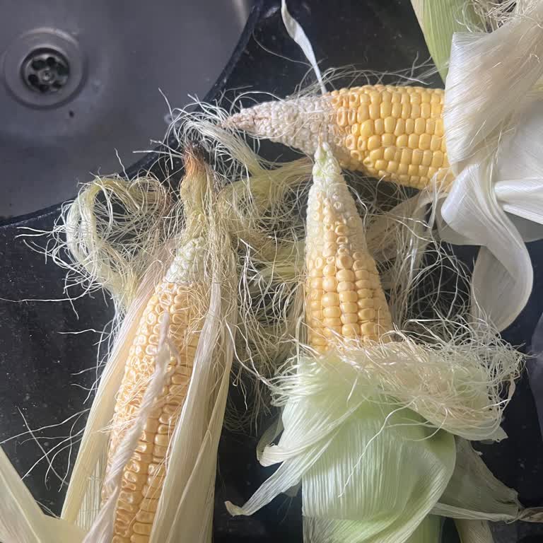 Migros Online İade Almıyor