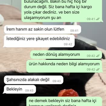 Filelog Kedi Filesi İletişim Ve Ürün Problemi