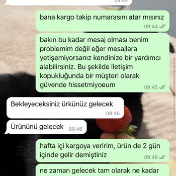 Filelog Kedi Filesi İletişim Ve Ürün Problemi