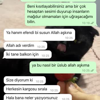 Filelog Kedi Filesi İletişim Ve Ürün Problemi
