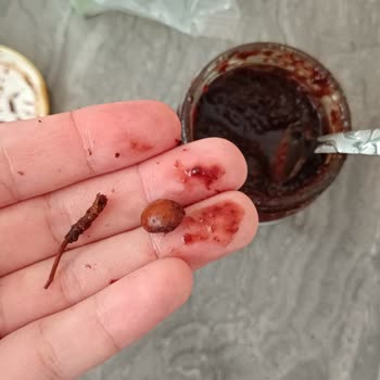 ebebek Hamm Karadut Özü