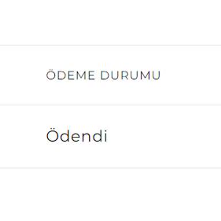 Bossdash Kimse Cevap Vermiyor