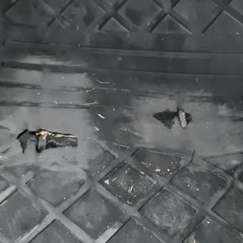 Renault 2023 Clio Paspas