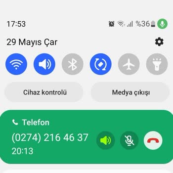 Sürat Kargo! Kaplumbağa Sürati!