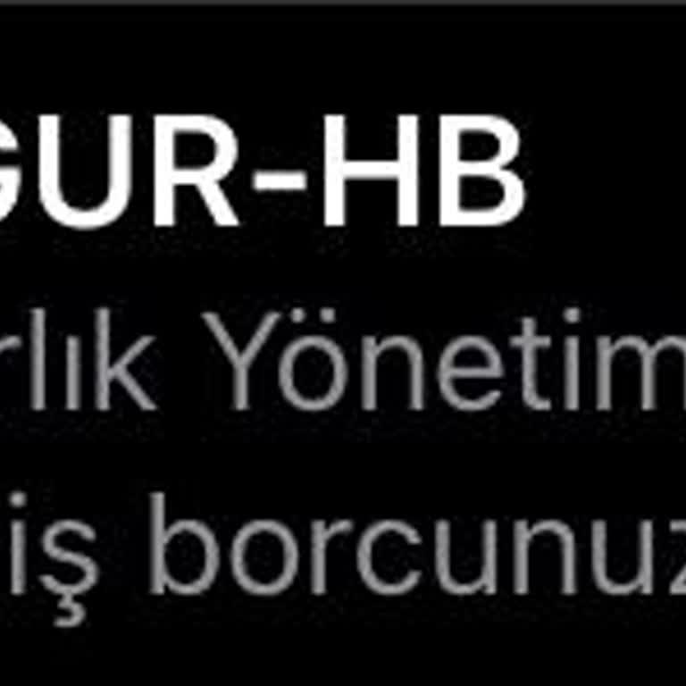 Dünya Varlık Beklenmedik Borç Bilgilendirmesi: Yanlışlık Mı Var?