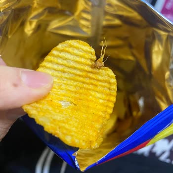 Cipso Cipsten İp Gibi Bir Şey Çıktı