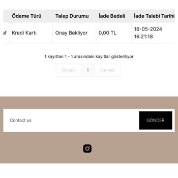 Biondinastyle Vasat Bir İnternet Sitesi