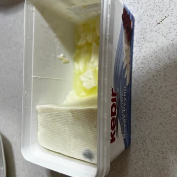 Kebir Beyaz Peynir Küflenme Sorunu